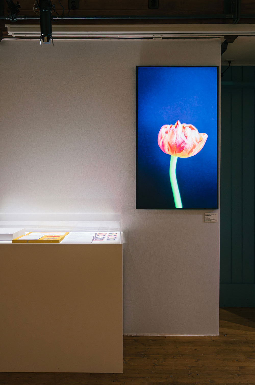 Bloemenveiling Archive Box