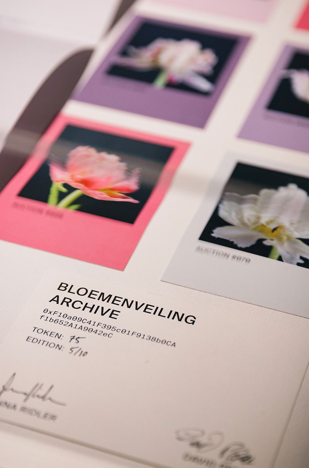Bloemenveiling Archive Box