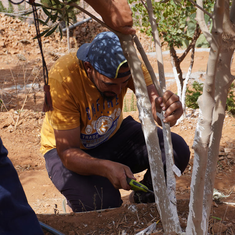 ABS Foundation - Dar Si Hmad