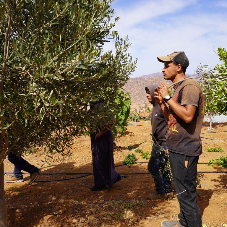 ABS Foundation - Dar Si Hmad