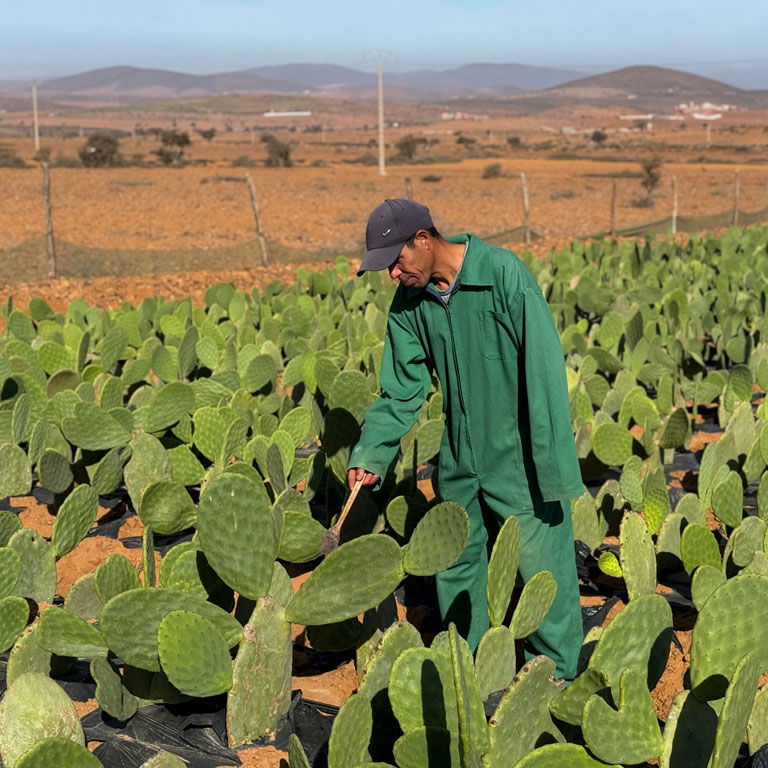 ABS Foundation - Dar Si Hmad