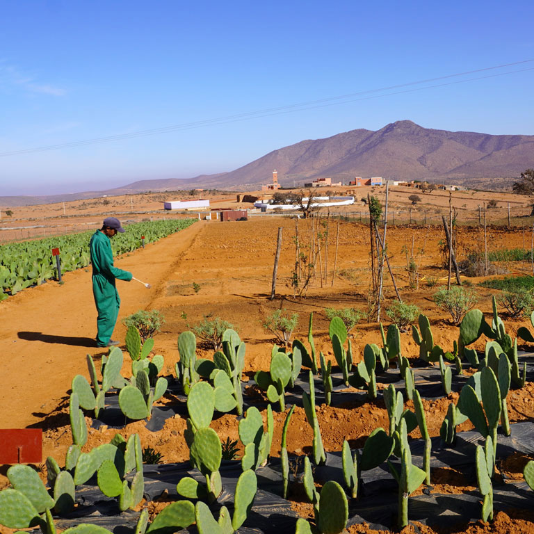 ABS Foundation - Dar Si Hmad