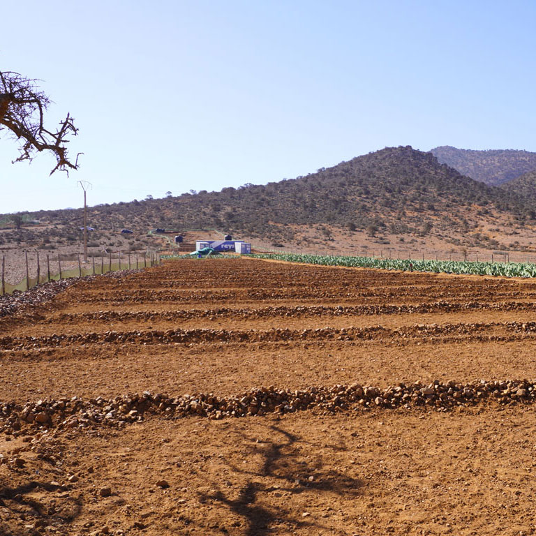 ABS Foundation - Dar Si Hmad