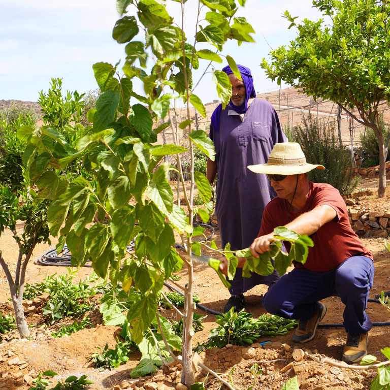 ABS Foundation - Dar Si Hmad