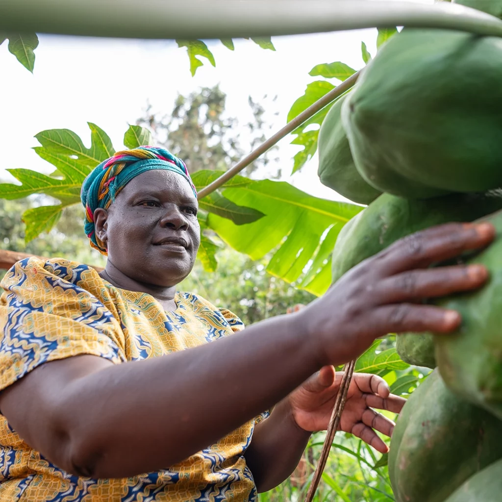 ABS Foundation - Enviu Project