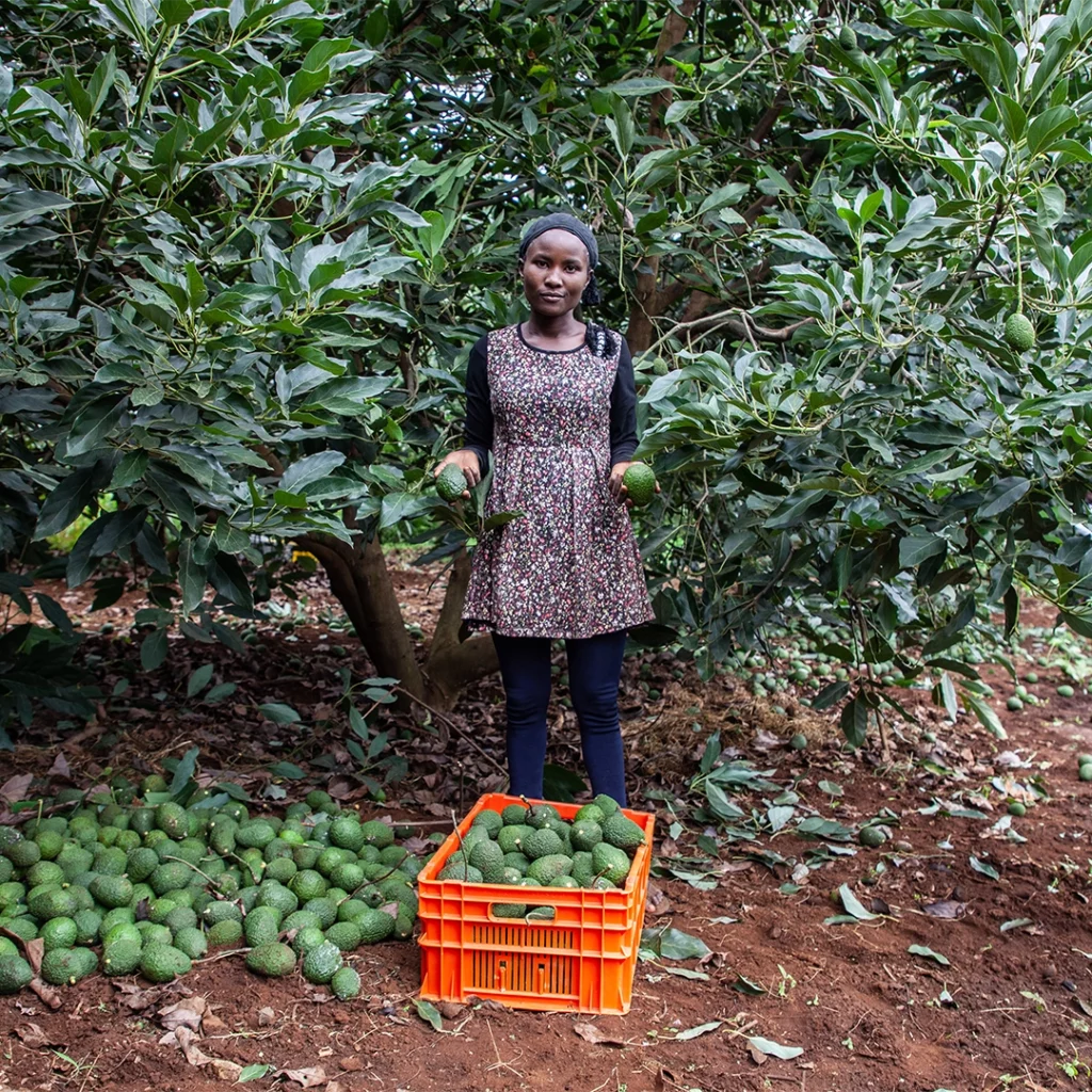 ABS Foundation - Enviu Project