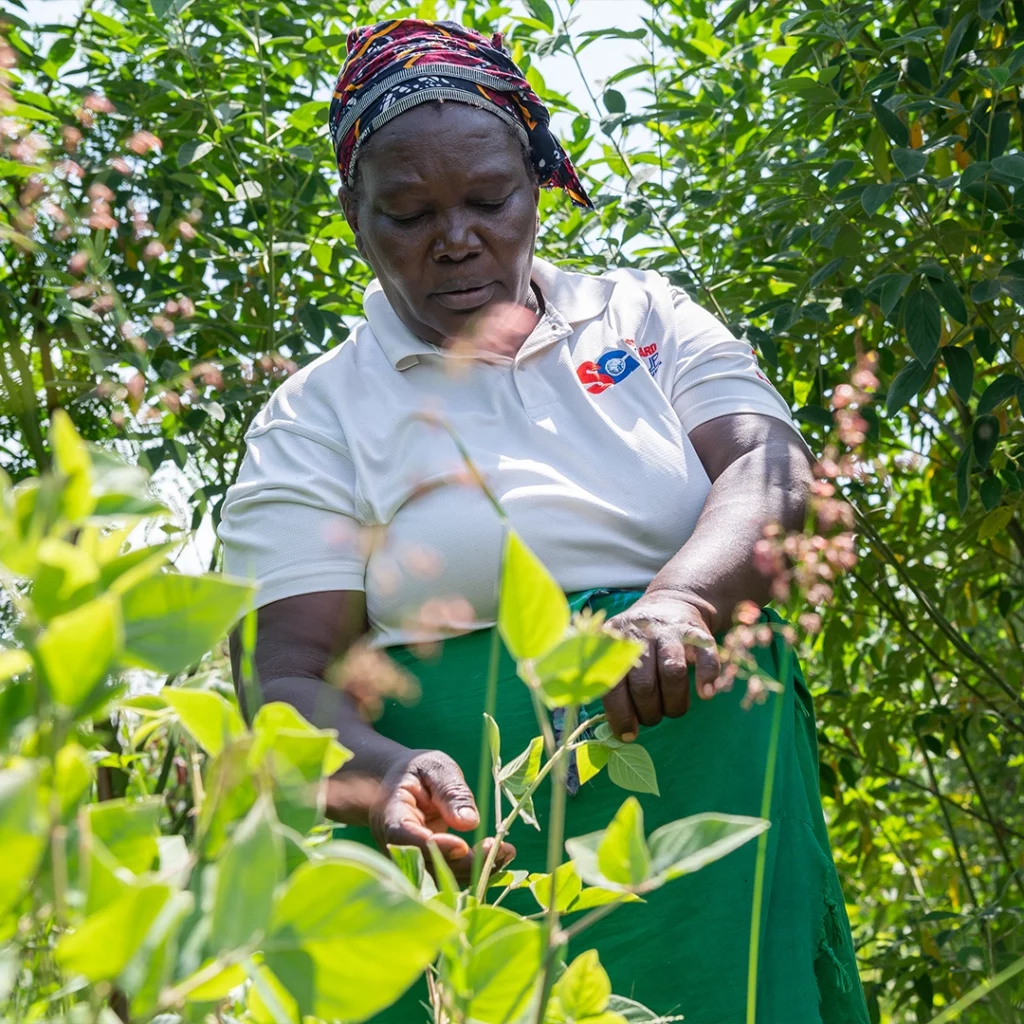 ABS Foundation - Enviu Project