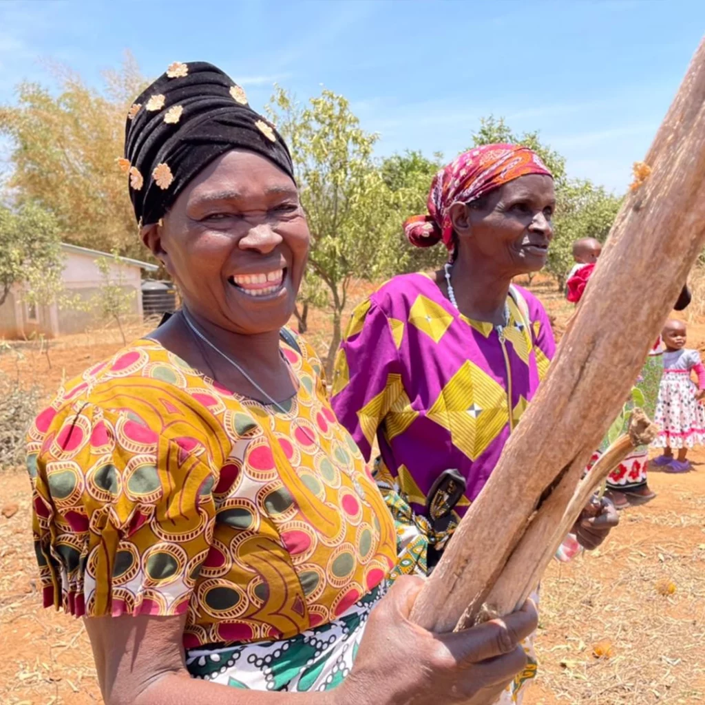 ABS Foundation - Enviu Project