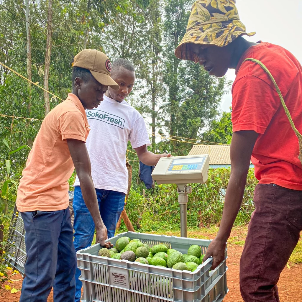 ABS Foundation - Enviu Project