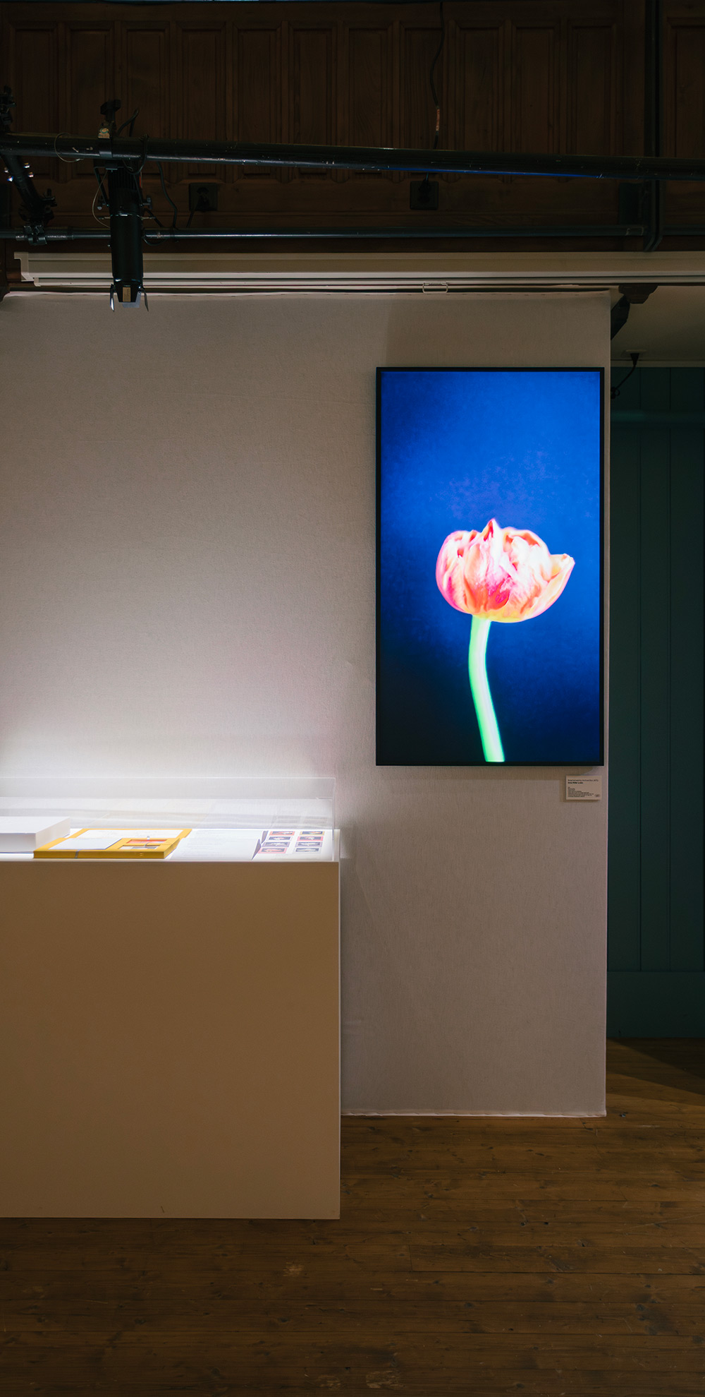 Bloemenveiling Archive Box (#75)