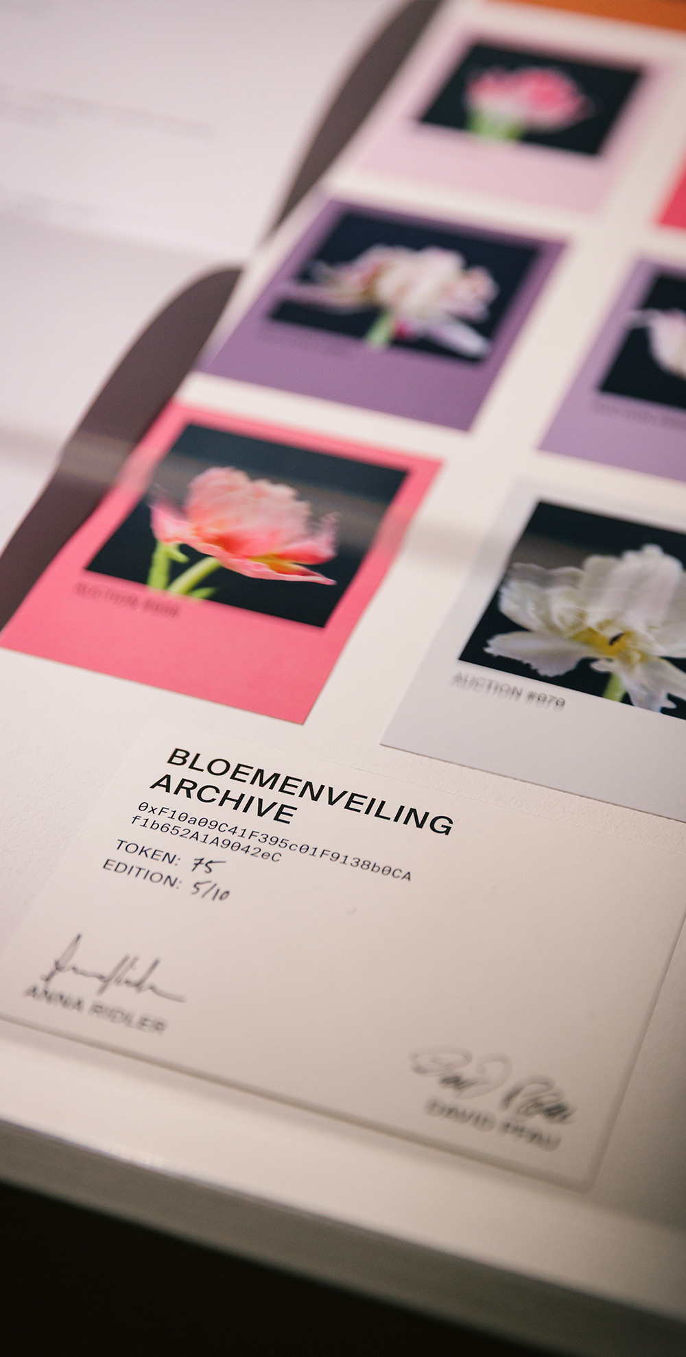 Bloemenveiling Archive Box (#75)