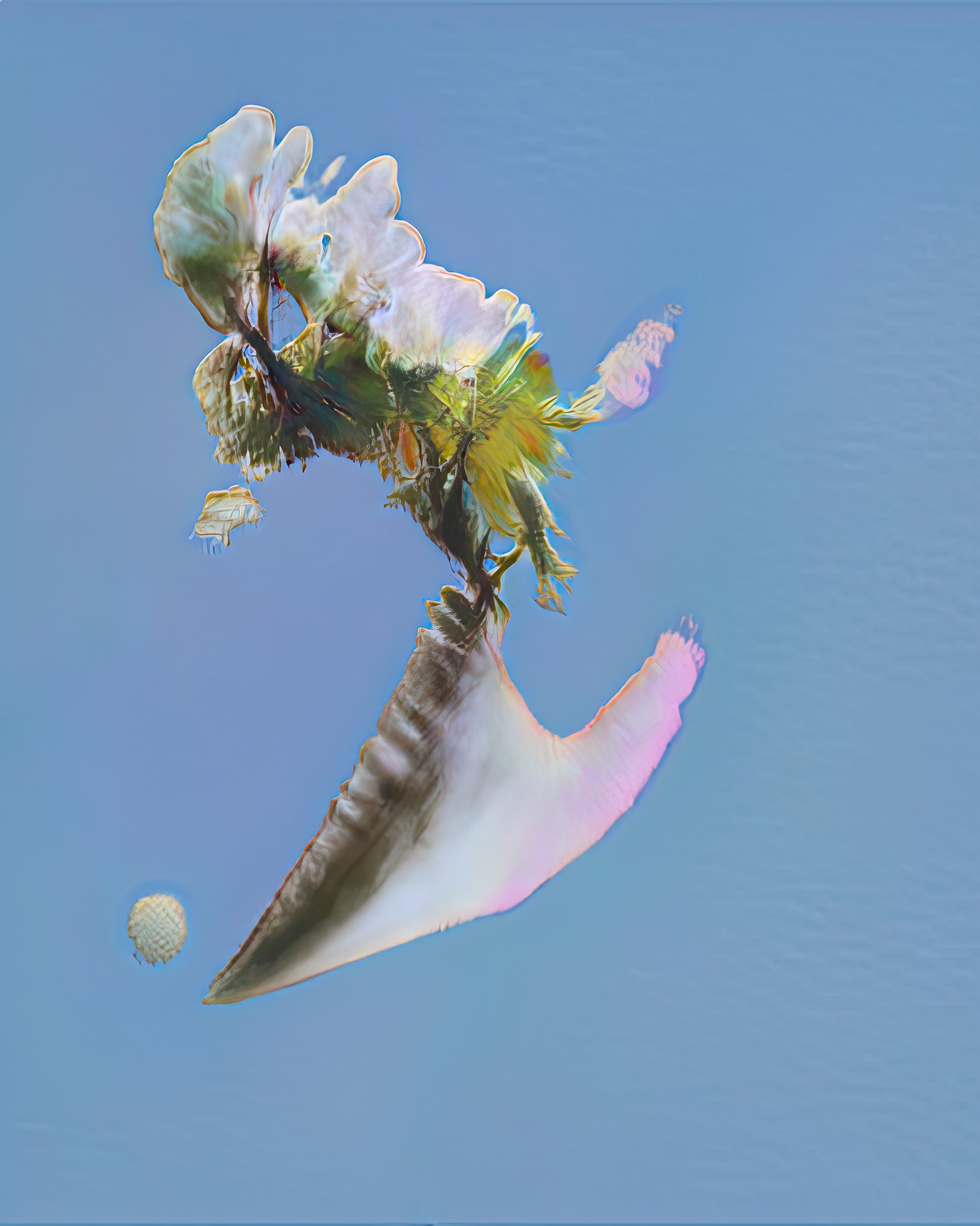Once Upon a Garden